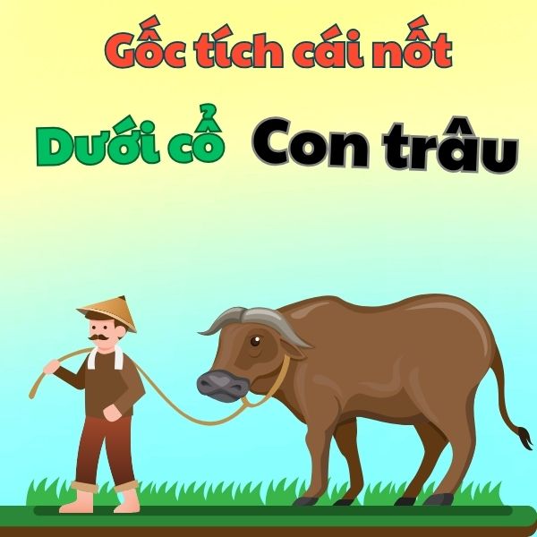 Gốc tích cái nốt dưới cổ con trâu