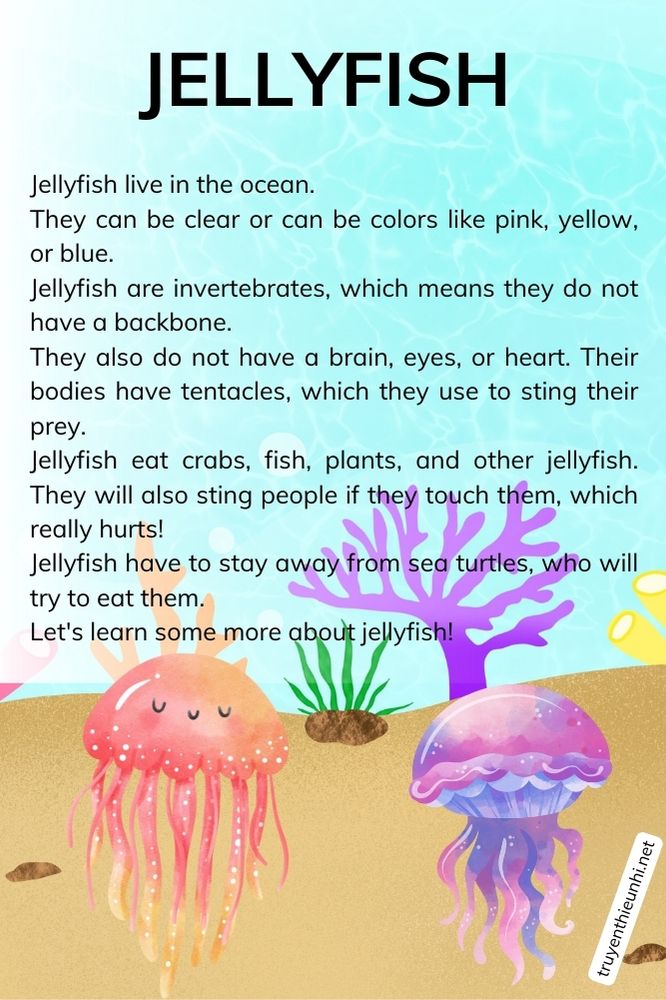 Thuyết trình tiếng Anh về loài sứa JELLYFISH