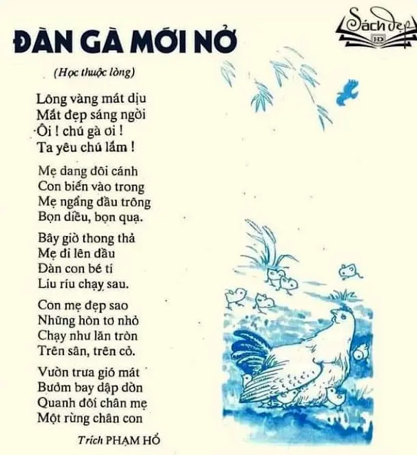 Đàn Gà Mới Nở