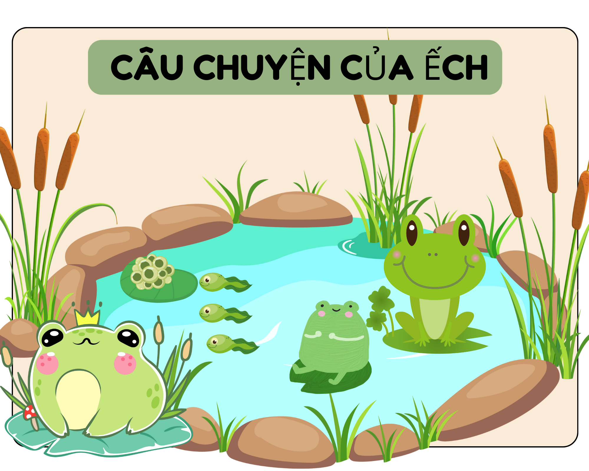 Truyện tranh Câu chuyện của ếch