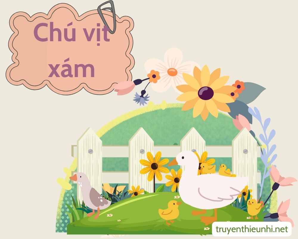 Truyện cho bé mầm non: Chú vịt xám