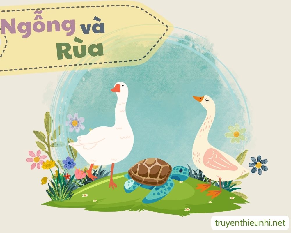 Kể chuyện cho bé: Ngỗng và rùa