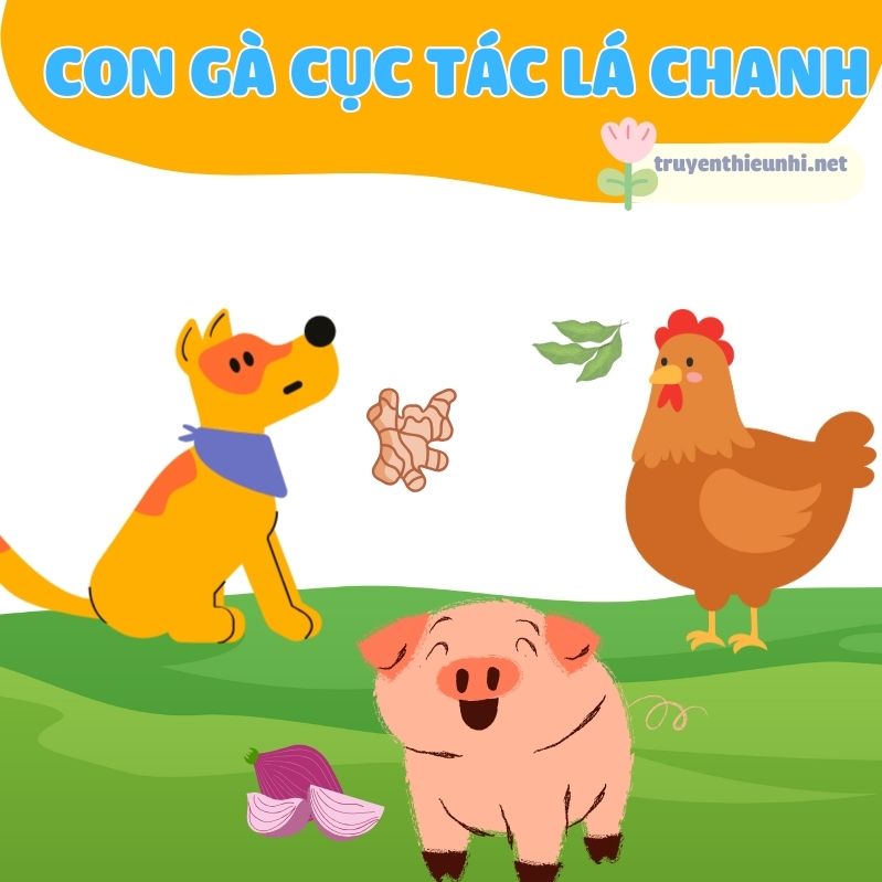 Sự tích câu nói “Con gà cục tác lá chanh…”